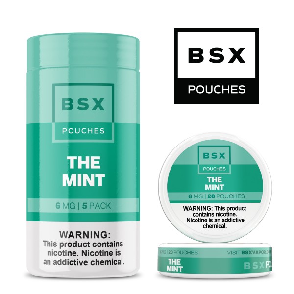 BSX Pouches 5pk - The Mint