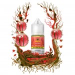 Urban Tale Salt by Lost Mary - Watermelon Ice 30mL