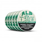 ALP Pouches 5pk - Mountain Wintergreen