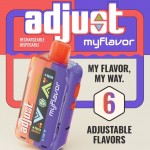 Adjust MyFlavor 40K Disposable 5% (Display Box of 5) (Master Case of 200)