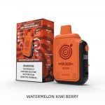 Archer 12000 Disposable 5% (Display Box of 5) (Master Case of 200)