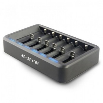 E-SYB S6 Battery Charger