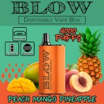 Blow Box 4000 Puff Disposable 5%