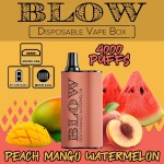 Blow Box 4000 Puff Disposable 5%