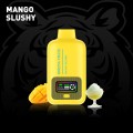 Mango Slushy