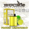 Frozen Lemonhead