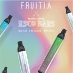 Fruitia X Esco Bar Mesh 2500 Disposable 5%