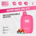 Berrymelon Icy