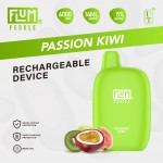 Flum Pebble Disposable 5% **5 PACK** (Master Case of 200)