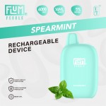 Flum Pebble Disposable 5% **5 PACK** (Master Case of 200)
