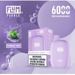 Flum Pebble 6000 Puff Disposable 5% **SINGLE** (Master Case of 200)