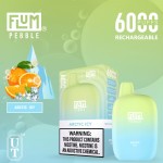 Flum Pebble 6000 Puff Disposable 5% **SINGLE** (Master Case of 200)