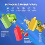 Binaries Cabin Disposable 5%