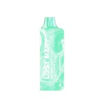 Lost Mary MO5000 Disposable FROZEN EDITION (Master Case of 200)