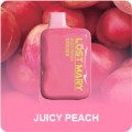 Peach Ice (Juicy Peach)
