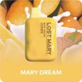 Mary Dream