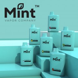 MINT by MNKE Bars Disposable 5% (Display Box of 5) (Master Case of 200)
