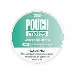 PouchMates 5pk - Wintergreen