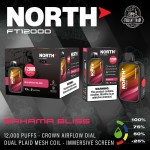 North FT12000 Disposable 5% (Display Box of 10)