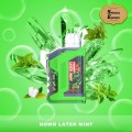 Nown Later Mint (Special Edition)