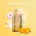 Mango Peach Ice