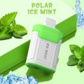 Polar Ice Mint