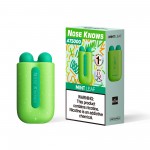 Nose Knows AT5000 Disposable 20mg (Display Box of 5) (Master Case of 200)